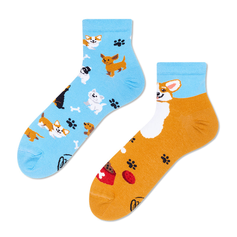 Playful Dog Socks