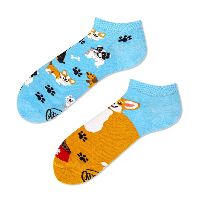 Playful Dog Socks