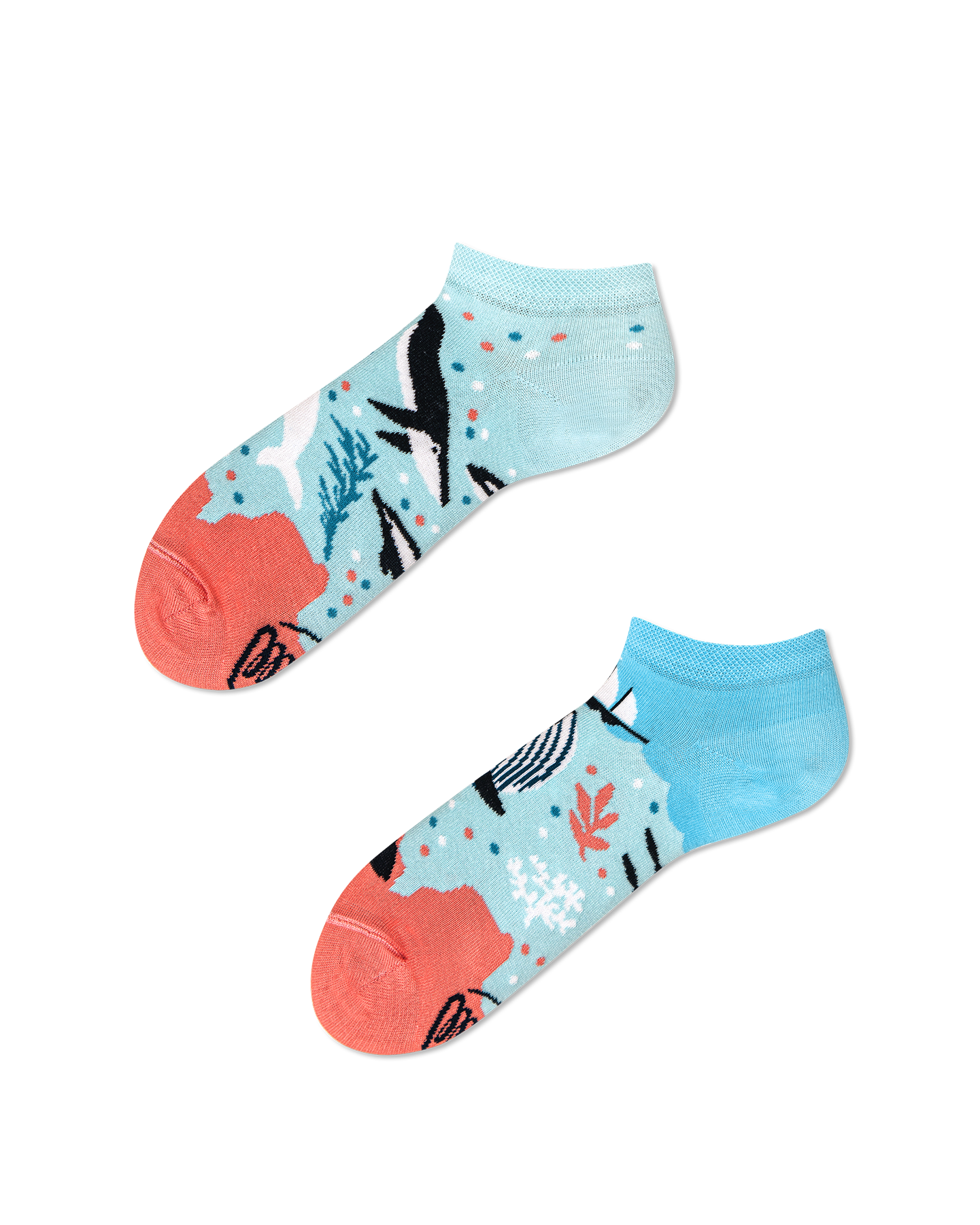 Ocean Life Socks