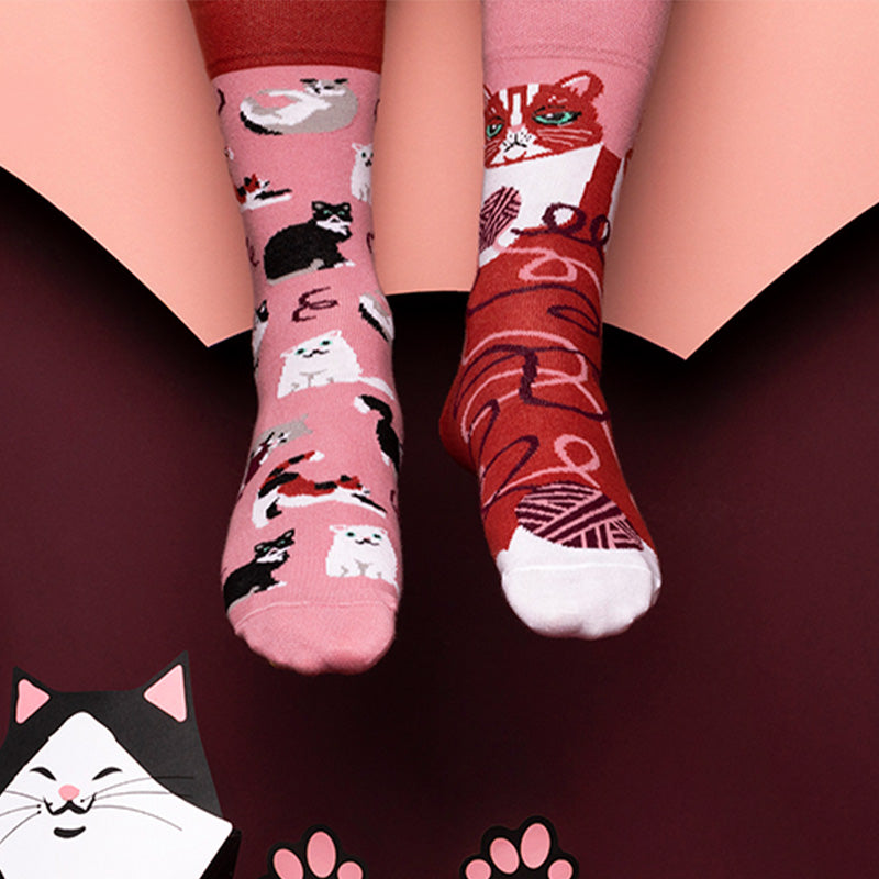 Playful Cat Socks