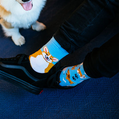 Playful Dog Socks