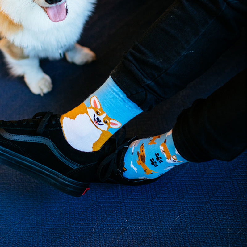 Playful Dog Socks