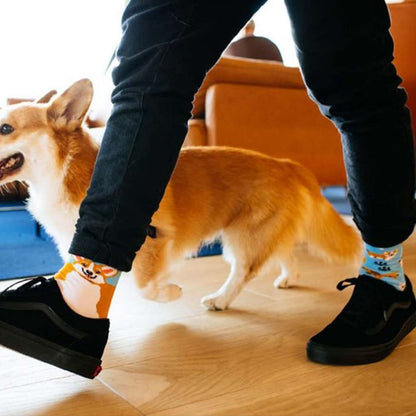 Playful Dog Socks