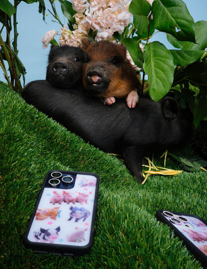 Lifestyle Image 04 Piggies